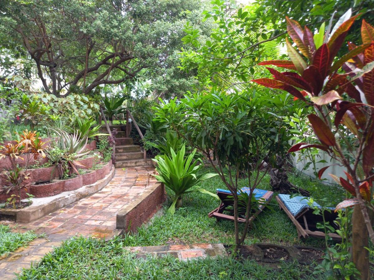 Casa Camaleao Gekko Cottadge Hotell Praia do Praia do Tofo Eksteriør bilde