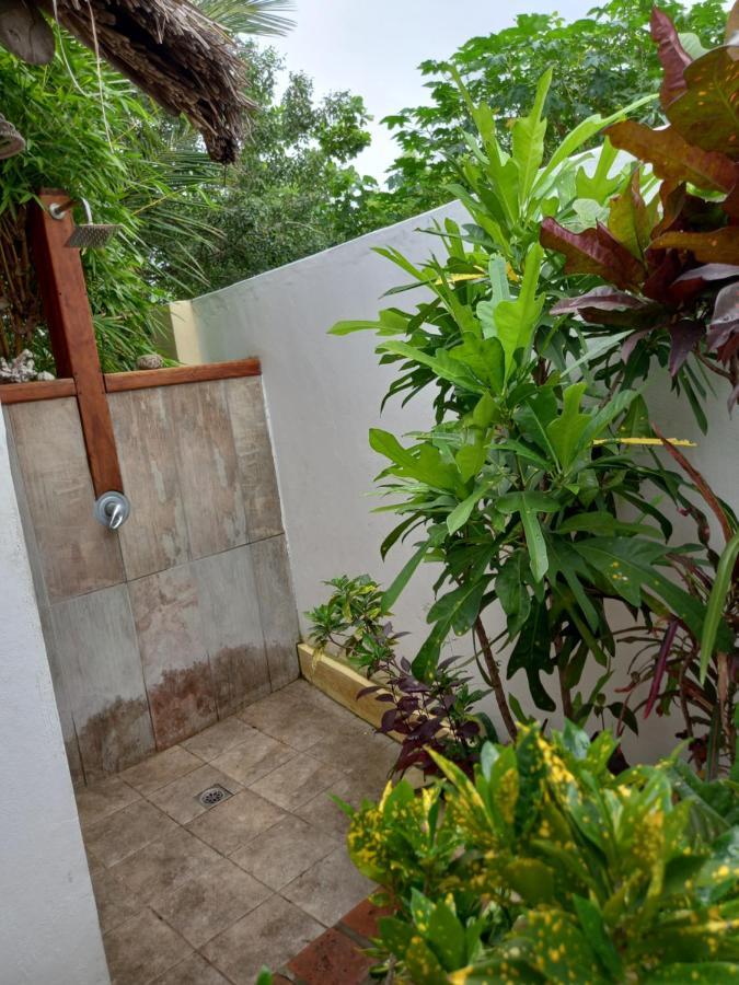 Casa Camaleao Gekko Cottadge Hotell Praia do Praia do Tofo Eksteriør bilde